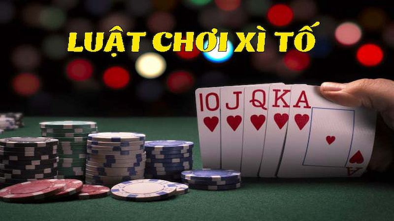 Cách chơi bài Xì Tố đơn giản và dễ hiểu nhất